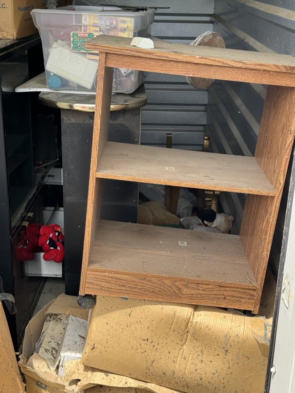 Storage Auction in Hernando, MS at Hernando SelfStorage Hwy 51 N (Oak